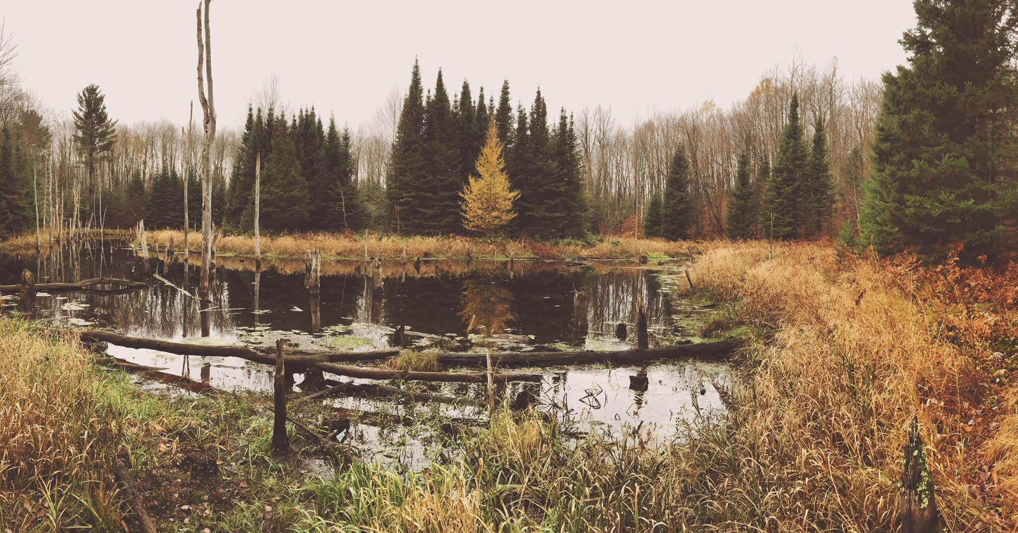 Camper-submitted photo at Northside Lake Eleven Campsite near Medford, WI