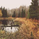 Review photo of Northside Lake Eleven Campsite by Steph H., November 1, 2017