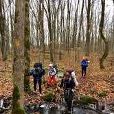 Review photo of Northside Lake Eleven Campsite by Steph H., November 1, 2017