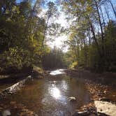 Review photo of Middle Fork Campground — Natural Bridge State Resort Park by Daniel S., October 10, 2017