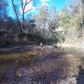 Review photo of Middle Fork Campground — Natural Bridge State Resort Park by Daniel S., October 10, 2017