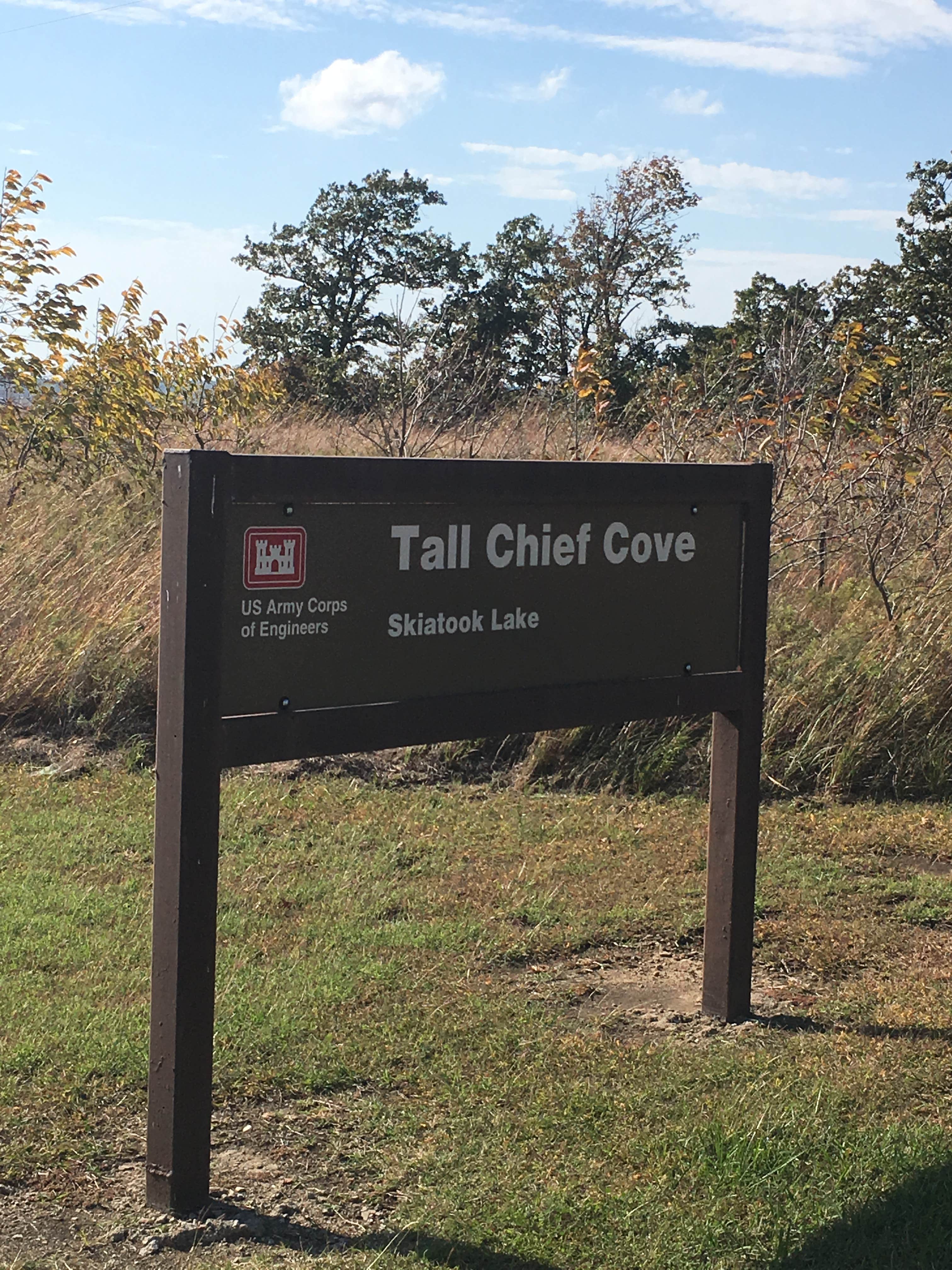 Camper submitted image from Tall Chief Cove - 4