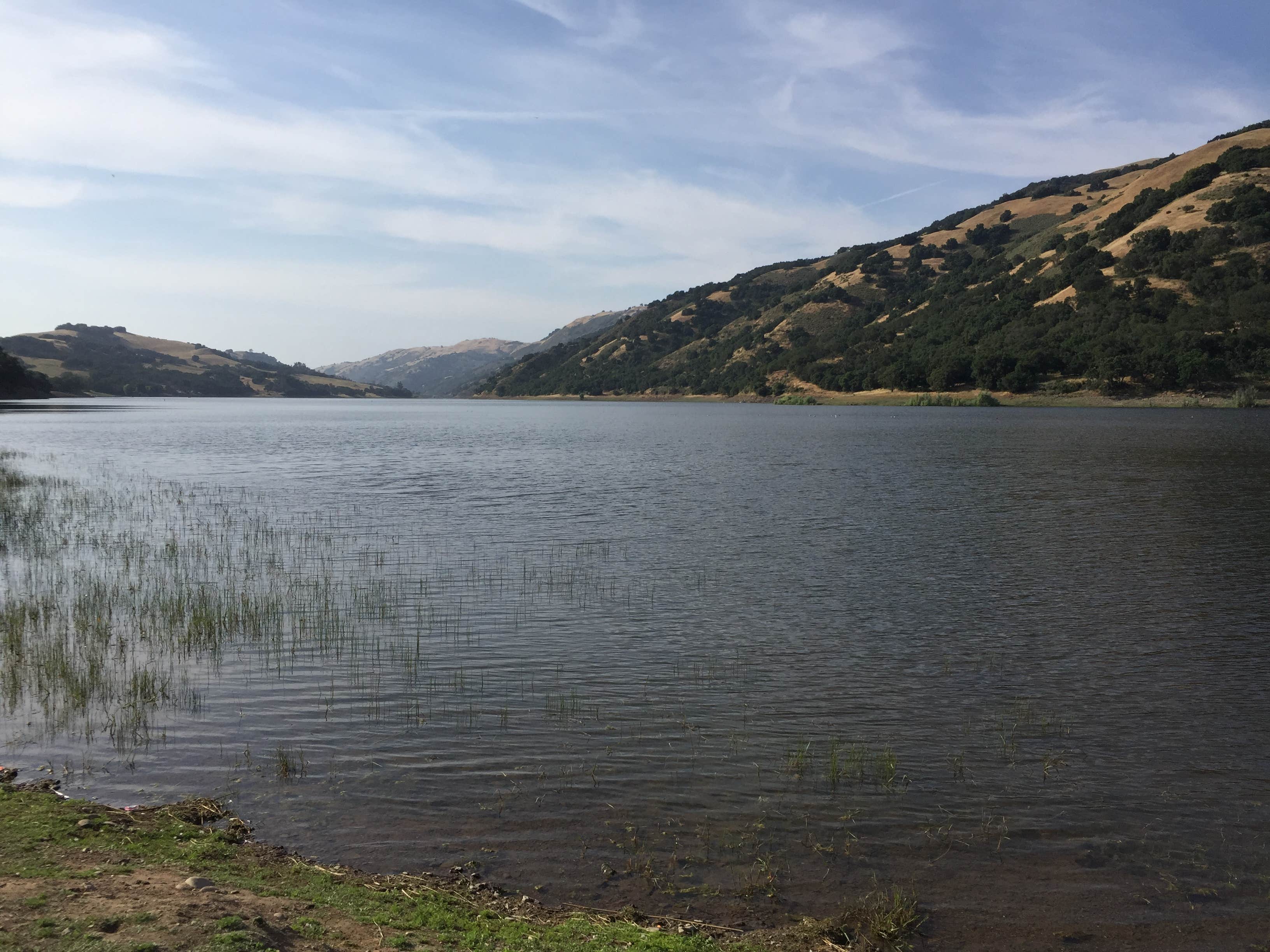 Camper submitted image from Coyote Lake Harvey Bear Ranch County Park - 5