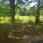 Review photo of Martin Stream Campground by Catherine M., June 28, 2020