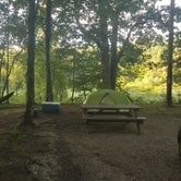 Review photo of Martin Stream Campground by Catherine M., June 28, 2020