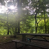 Review photo of Tionesta Rec. Area Campground by Lauren R., June 28, 2020