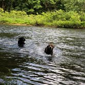 Review photo of Tionesta Rec. Area Campground by Lauren R., June 28, 2020