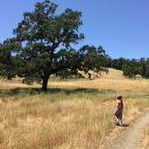 Review photo of Coyote Lake Harvey Bear Ranch County Park by Kate L., July 2, 2016
