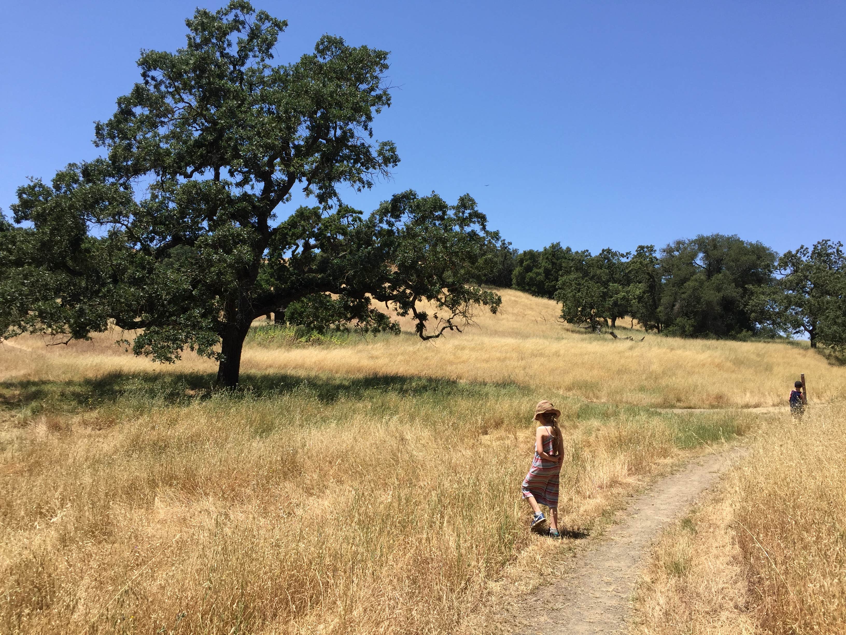 Camper submitted image from Coyote Lake Harvey Bear Ranch County Park - 4