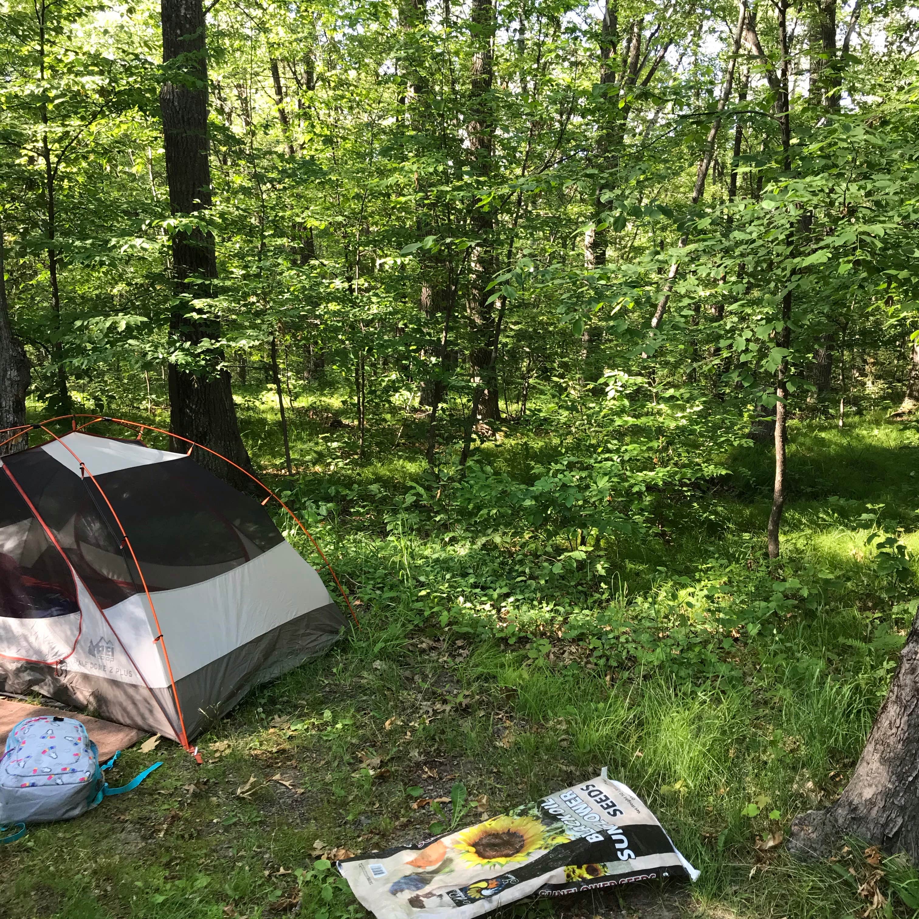 Daniel R.'s photo at Mille Lacs Kathio Petaga Campground — Mille Lacs Kathio State Park near Isle, MN