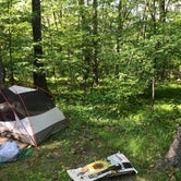 Review photo of Mille Lacs Kathio Petaga Campground — Mille Lacs Kathio State Park by Daniel R., June 28, 2020