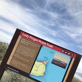 Review photo of Bridger Bay Campground — Antelope Island State Park by Zoe S., June 28, 2020