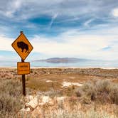 Review photo of Bridger Bay - Antelope Island State Park by Zoe S., June 28, 2020