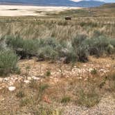 Review photo of Bridger Bay Campground — Antelope Island State Park by Zoe S., June 28, 2020