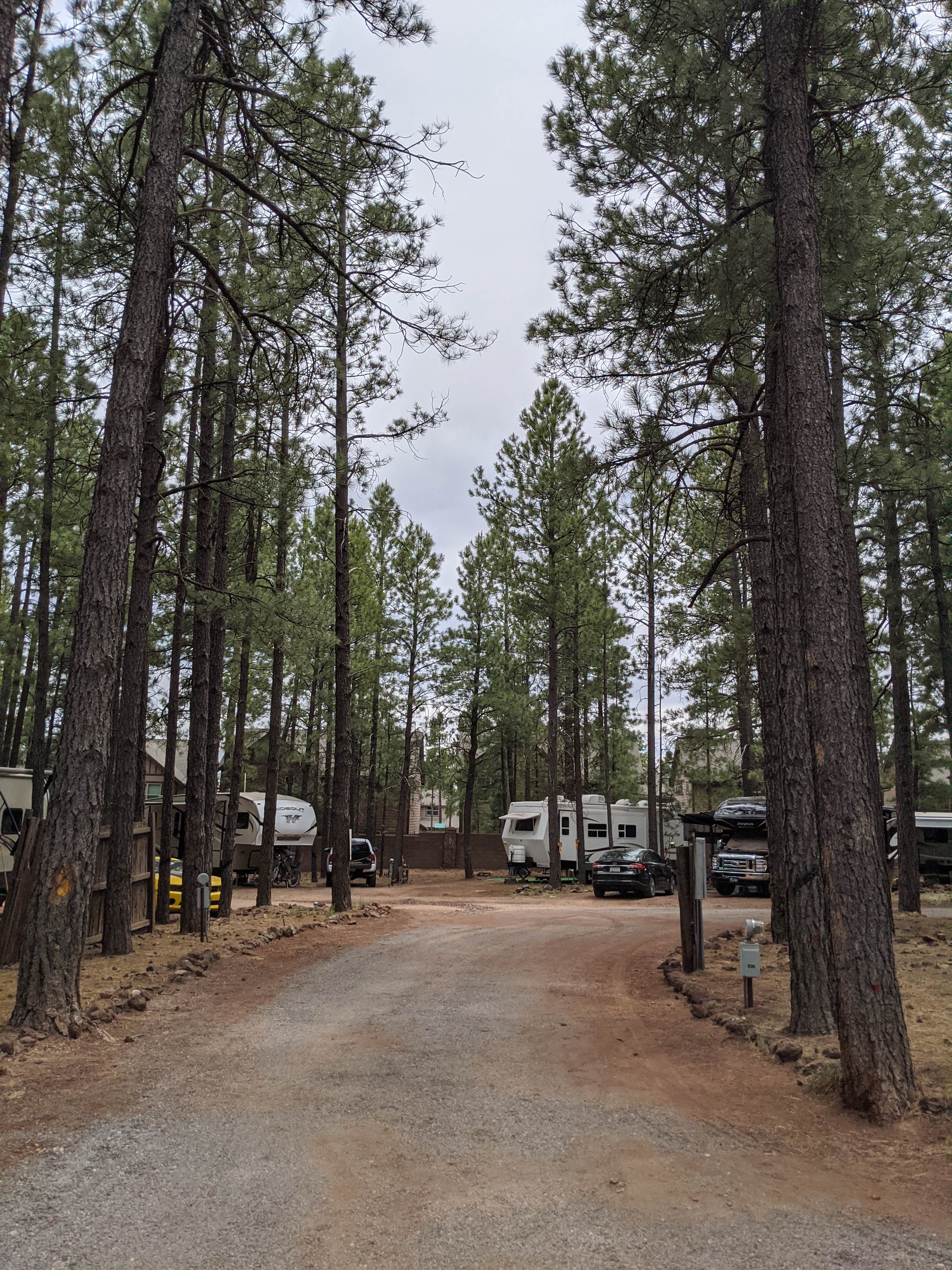 Camper-submitted photo at Woody Mountain Campground & RV Park near Cameron, AZ