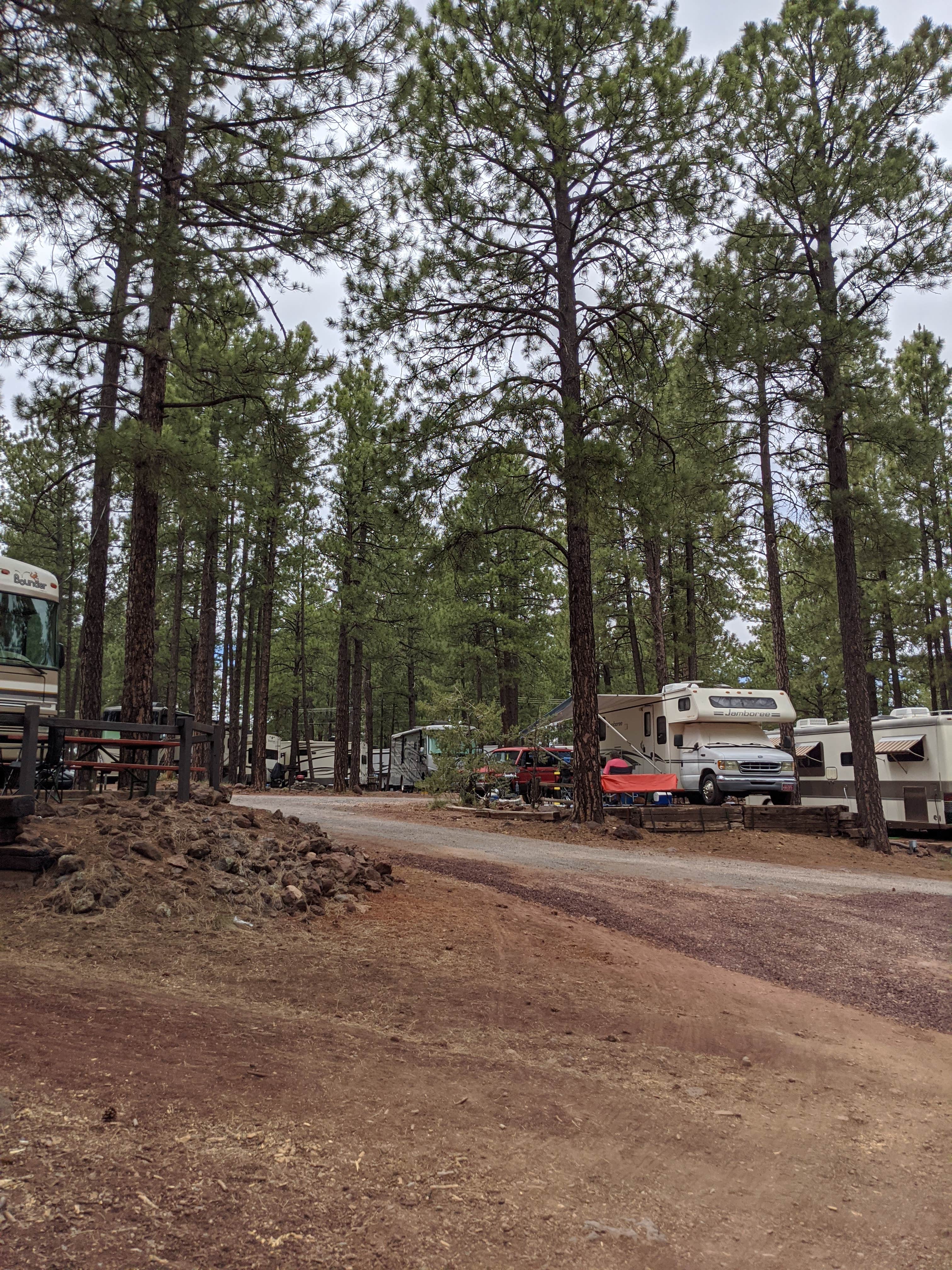 Camper-submitted photo at Woody Mountain Campground & RV Park near Cameron, AZ