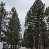 Review photo of Woody Mountain Campground & RV Park by Derek C., June 28, 2020