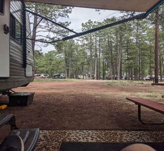 Camper-submitted photo from Dead Horse Ranch State Park Campground