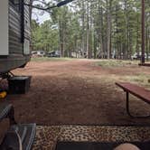 Review photo of Woody Mountain Campground & RV Park by Derek C., June 28, 2020