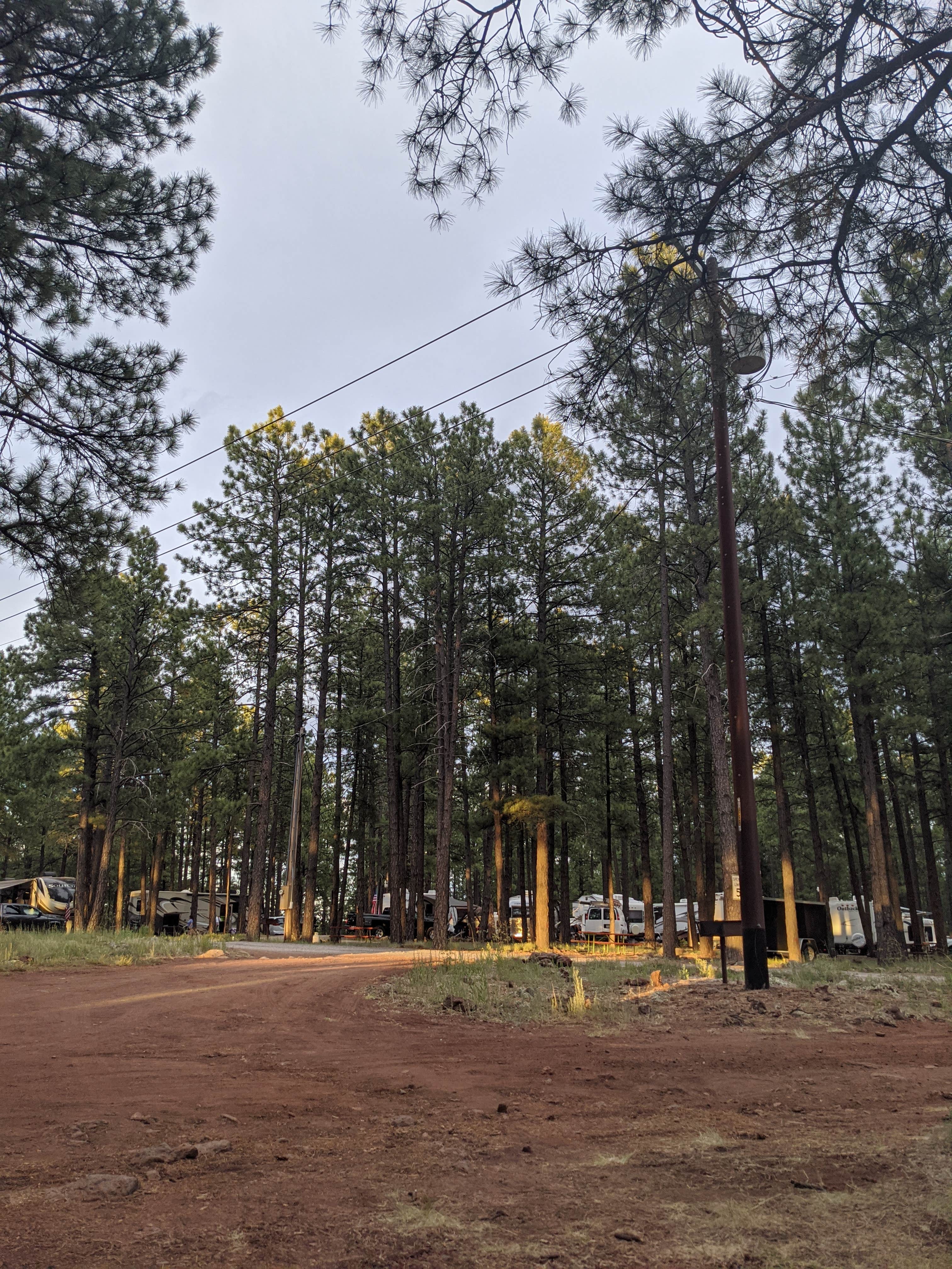 Escape to the Pines: Arizona's Woody Mountain Campground & RV Park