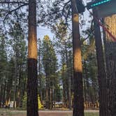 Review photo of Woody Mountain Campground & RV Park by Derek C., June 28, 2020