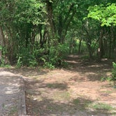 Review photo of Central State Park by Christa O., June 28, 2020