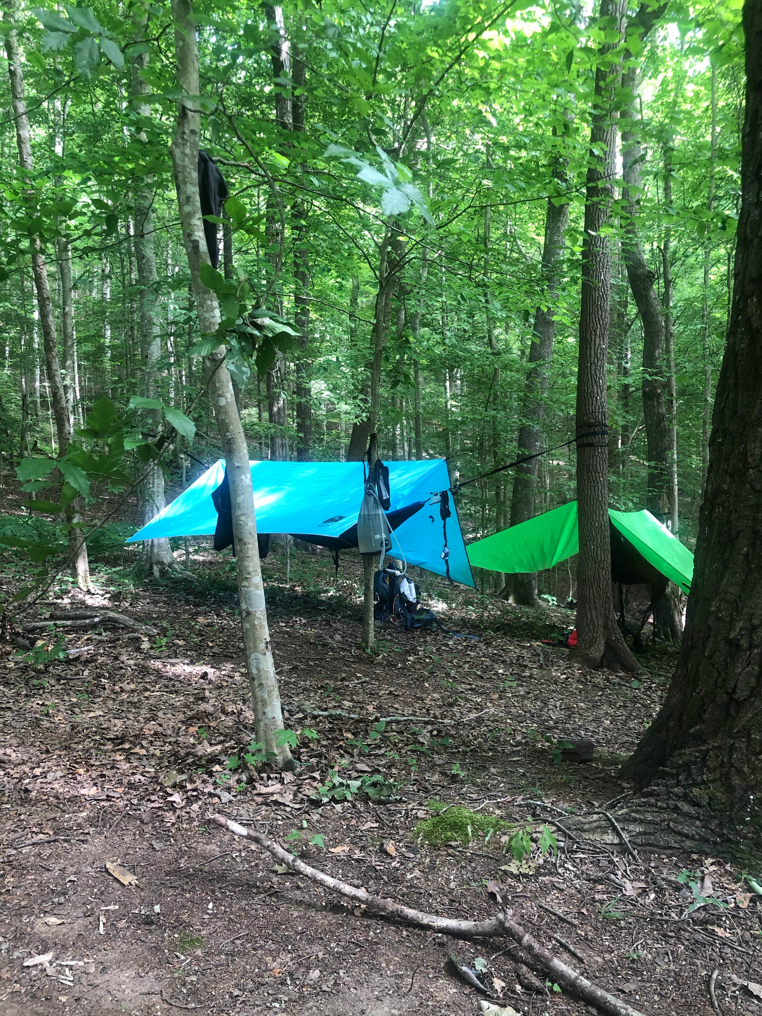 Lori H.'s photo at Big Ridge State Park Campground near Lake City, TN