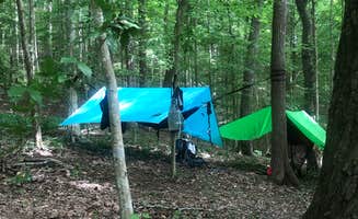 Lori H.'s photo at Big Ridge State Park Campground near Heiskell, TN