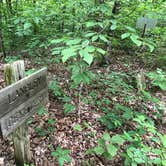 Review photo of Big Ridge State Park Campground by Lori H., June 28, 2020