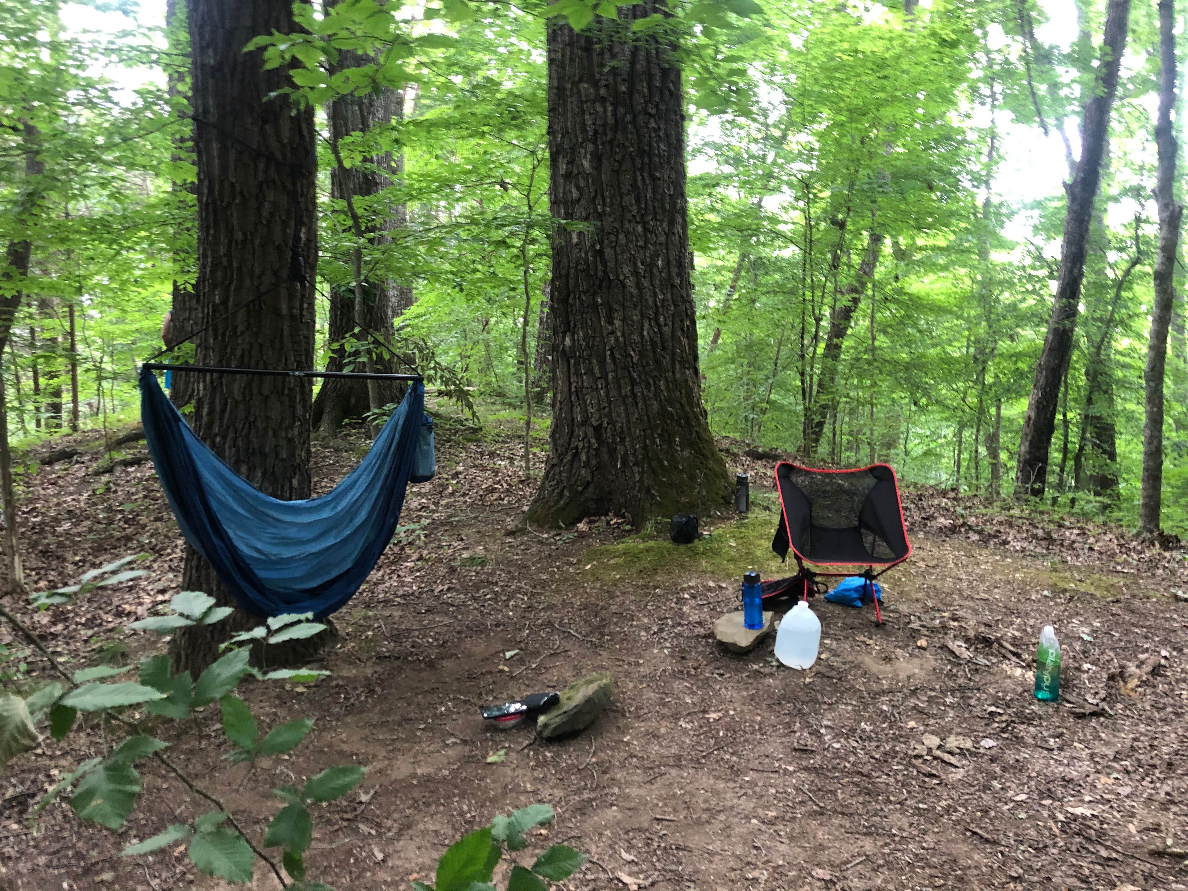 Lori H.'s photo at Big Ridge State Park Campground near Heiskell, TN