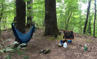 Lori H.'s photo at Big Ridge State Park Campground near Heiskell, TN