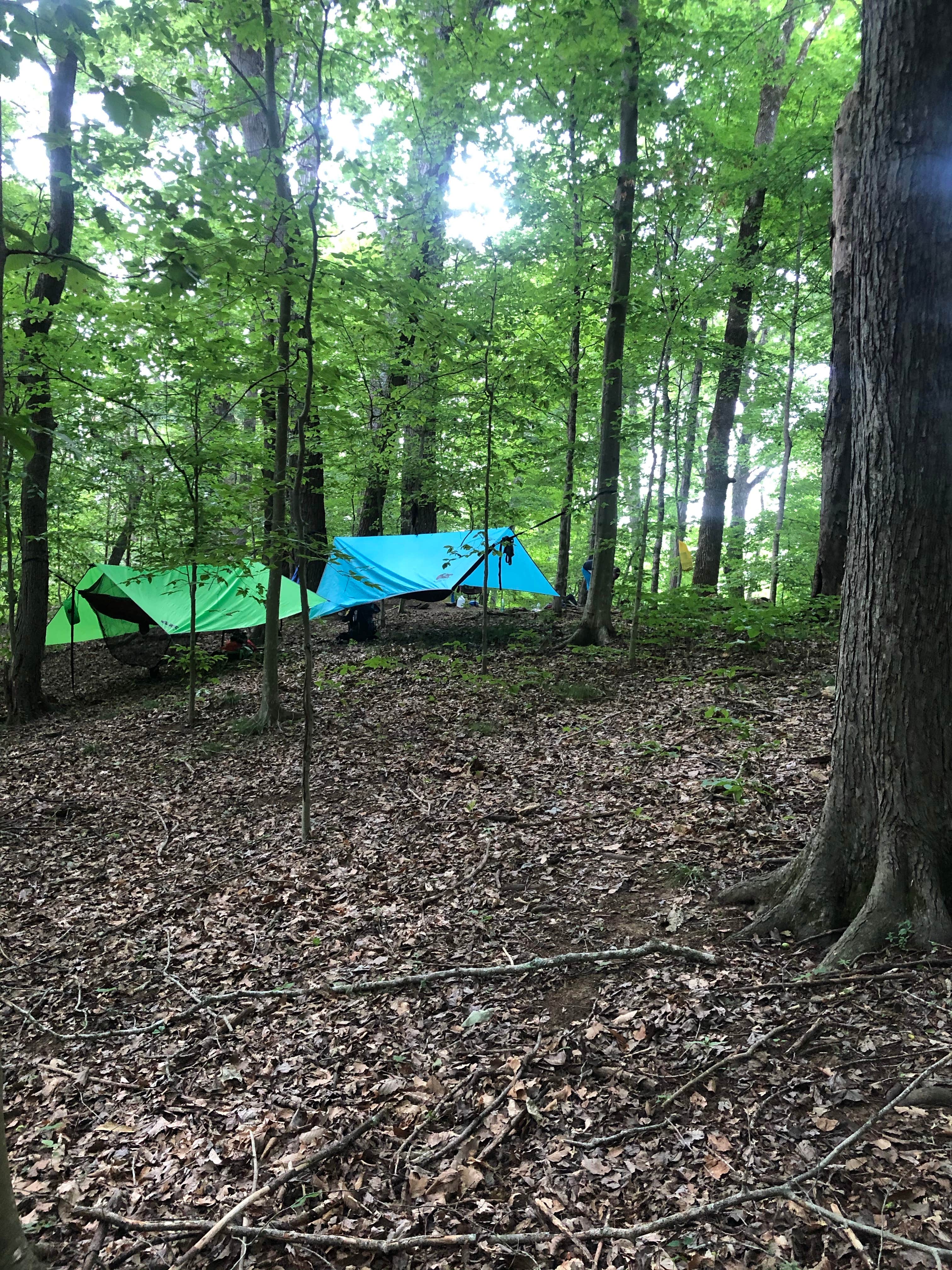 Lori H.'s photo at Big Ridge State Park Campground near Heiskell, TN