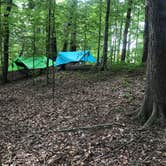 Review photo of Big Ridge State Park Campground by Lori H., June 28, 2020