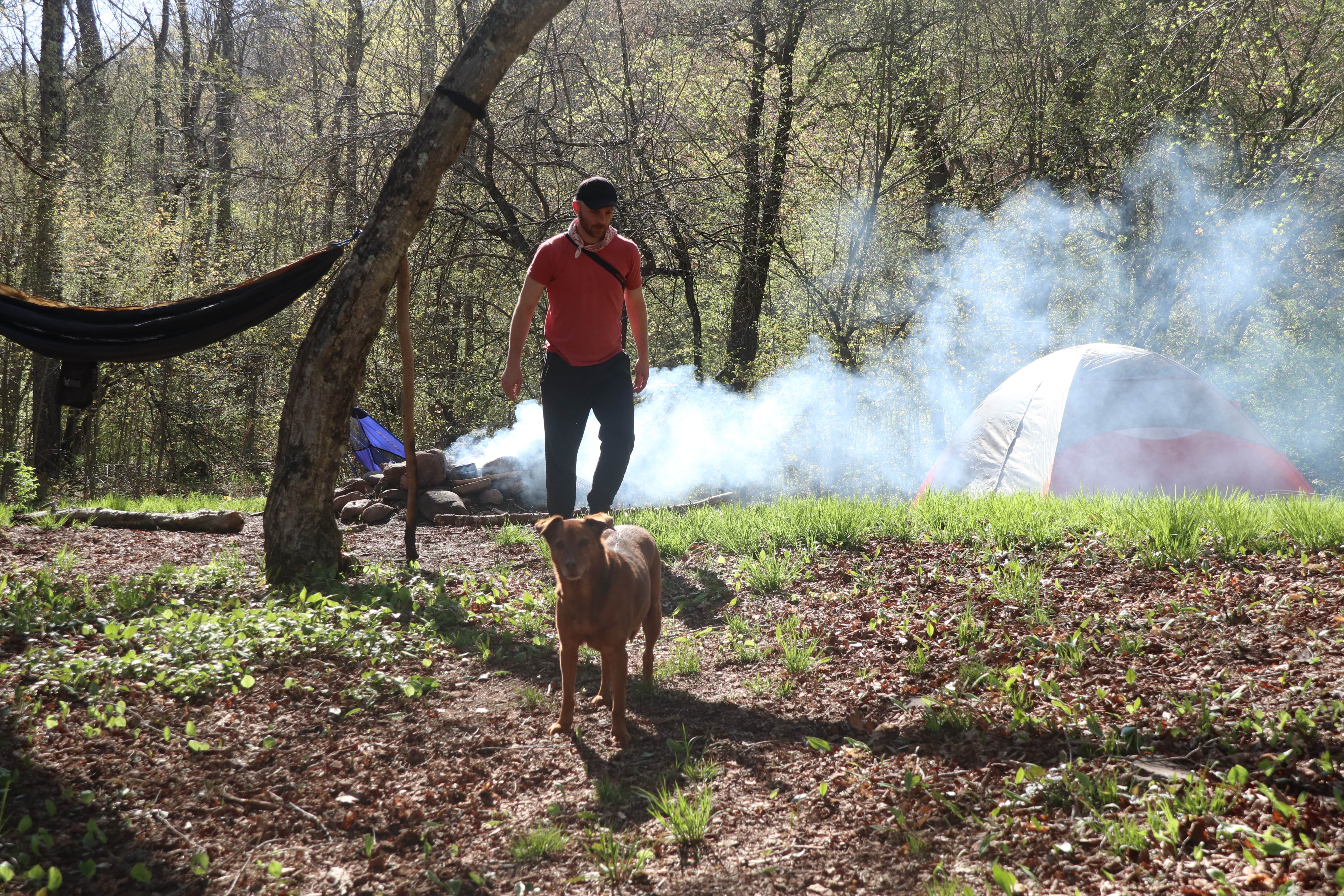 Tommy S.'s photo of tent camping at Slide Mountain Wilderness Roadside Campsite near Gilboa, NY