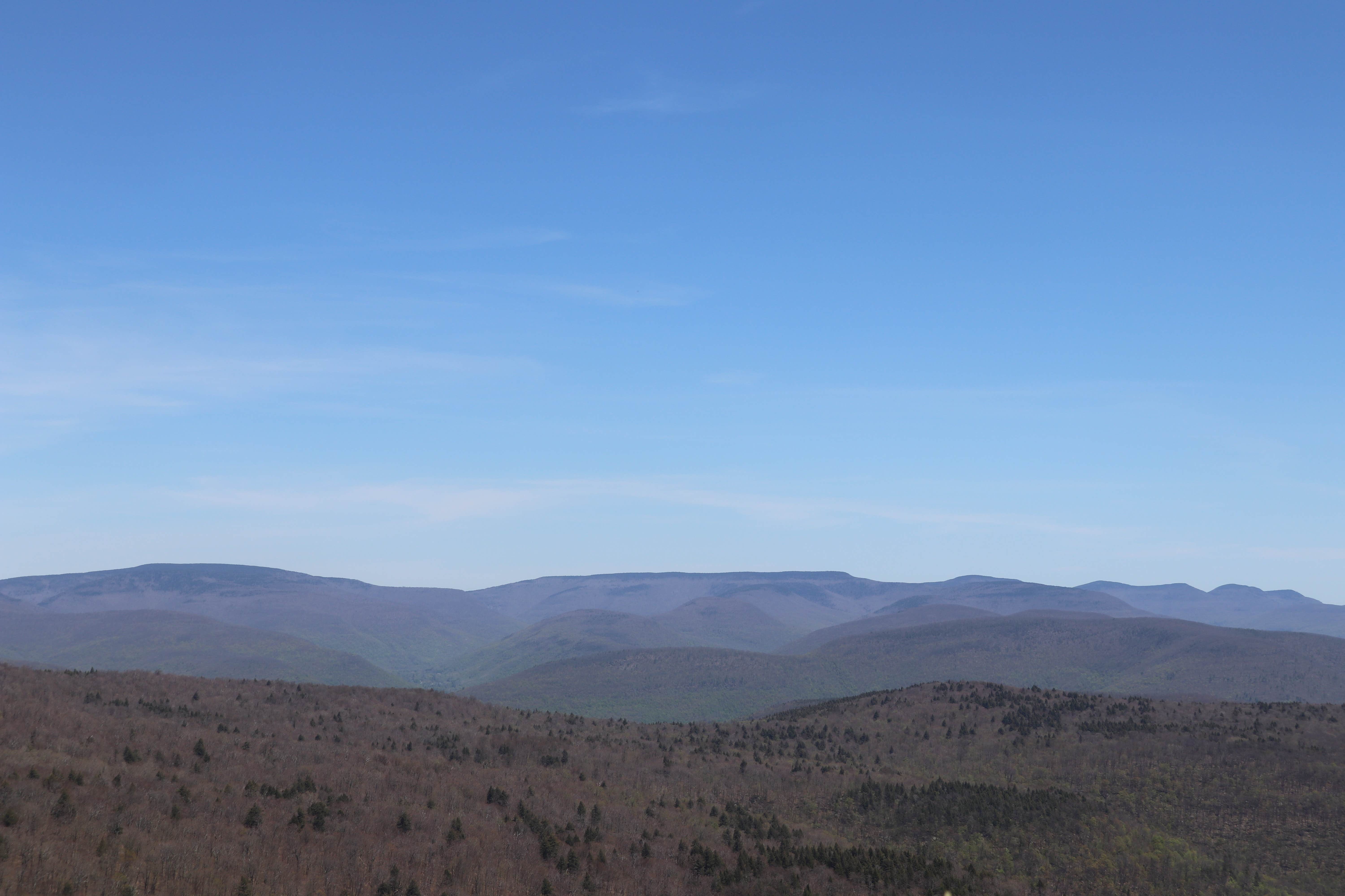 Camper-submitted photo at Slide Mountain Wilderness Roadside Campsite near Bloomville, NY