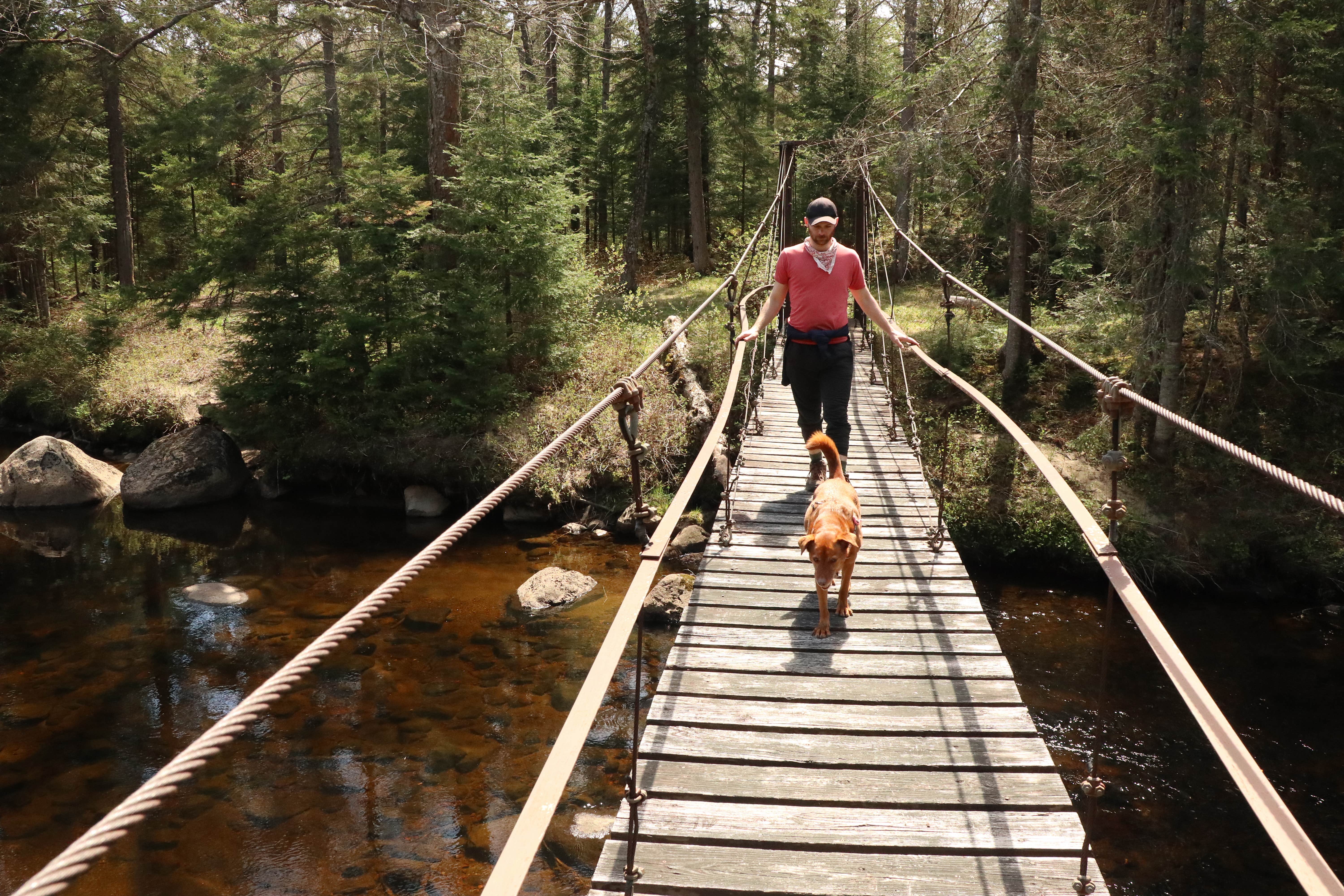 Tommy S.'s photo of camping with pets at Fox Lair Campsites near Adirondack, NY