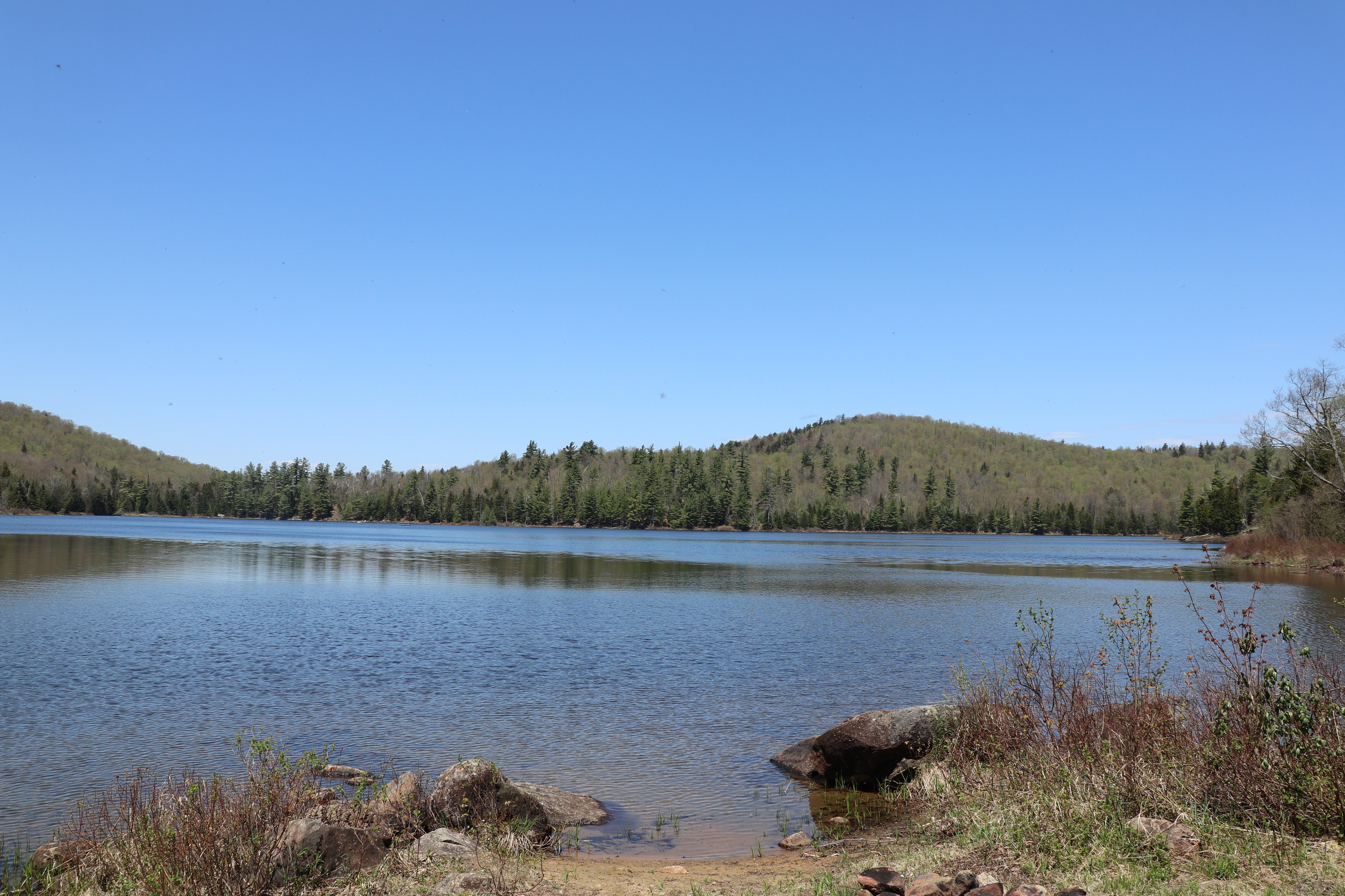 siamese pond, 6 miles down the hiking trail