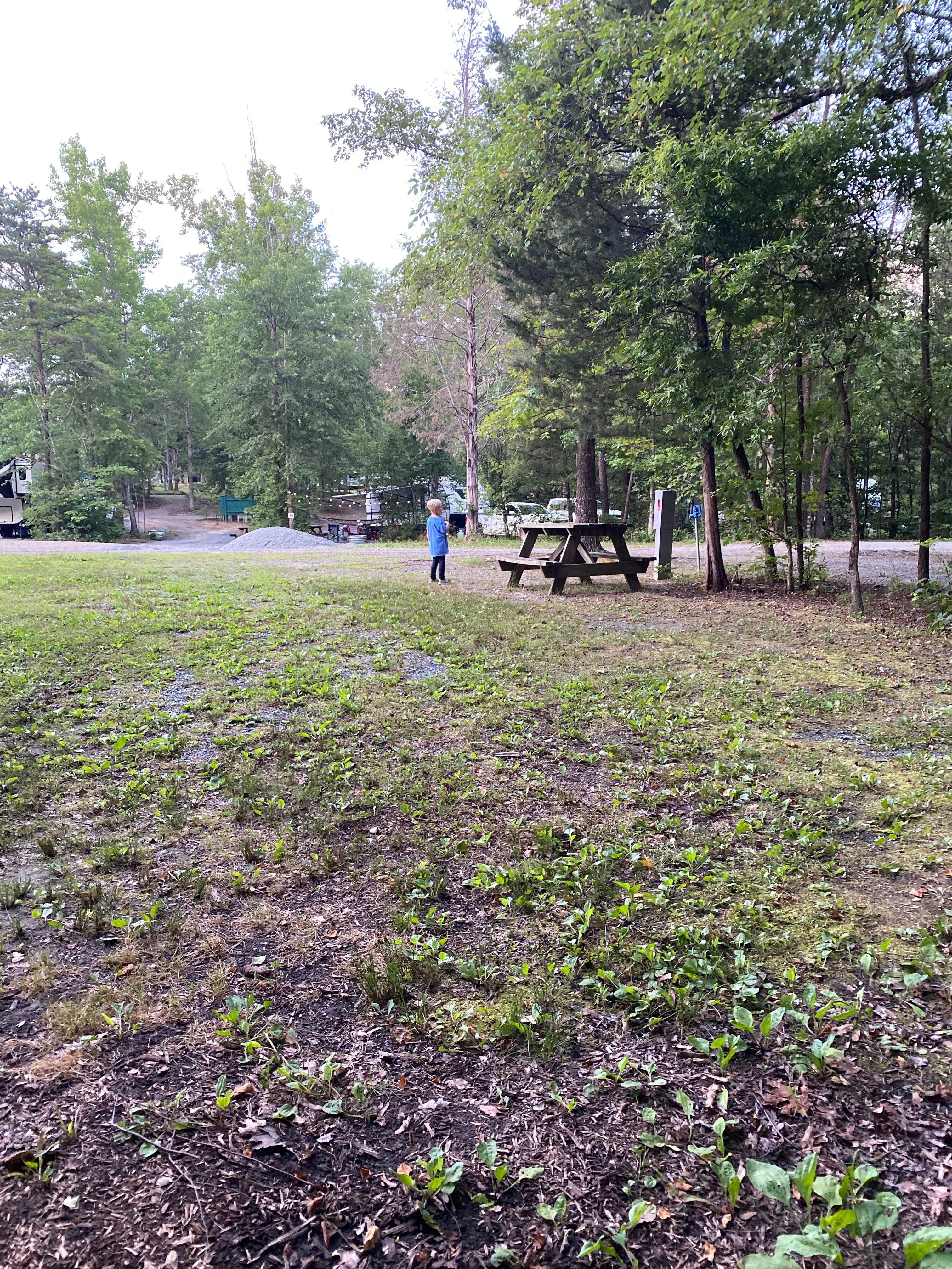 Camper-submitted photo at Small Country Campground near Goochland, VA