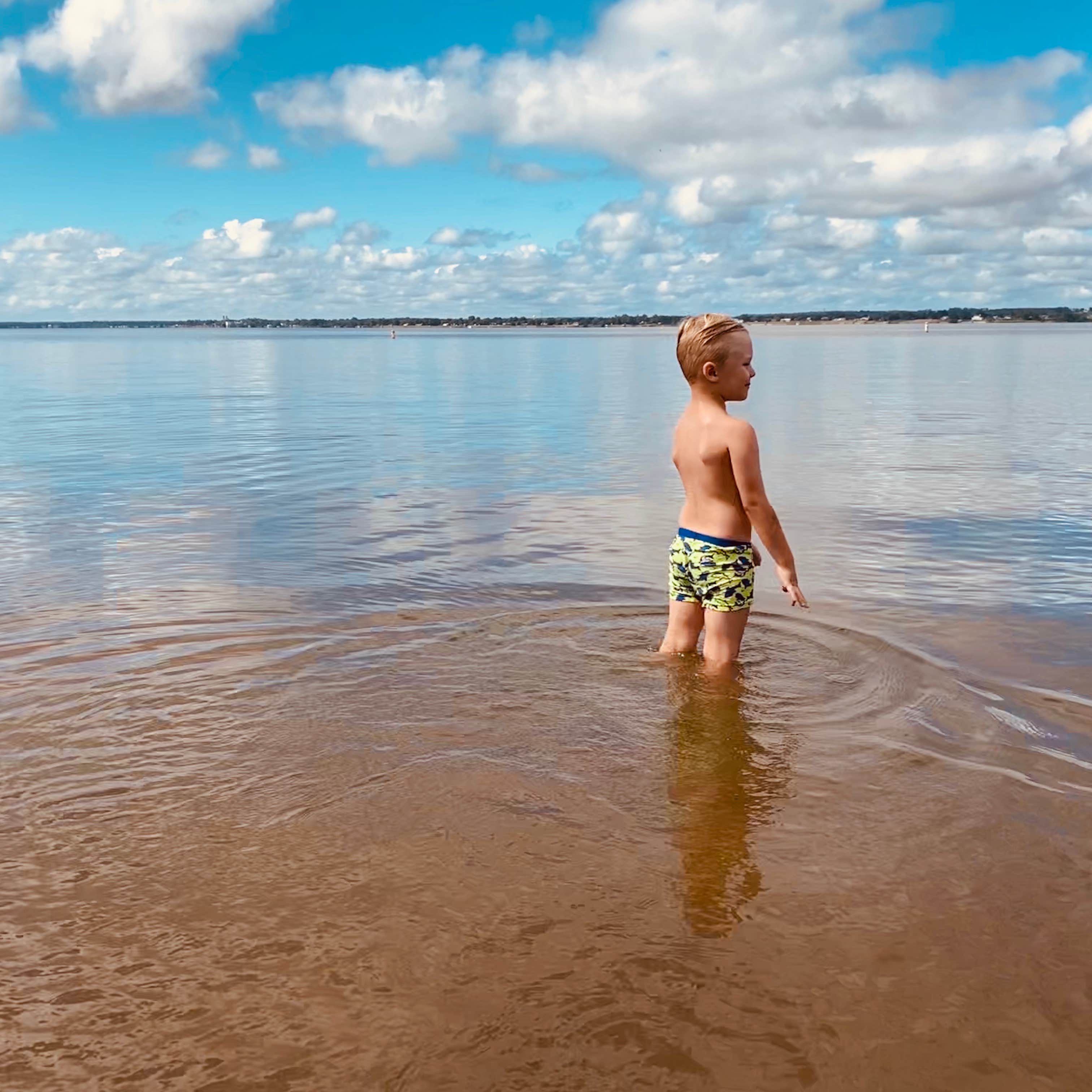 Naylor's Beach Campground Inc Camping The Dyrt