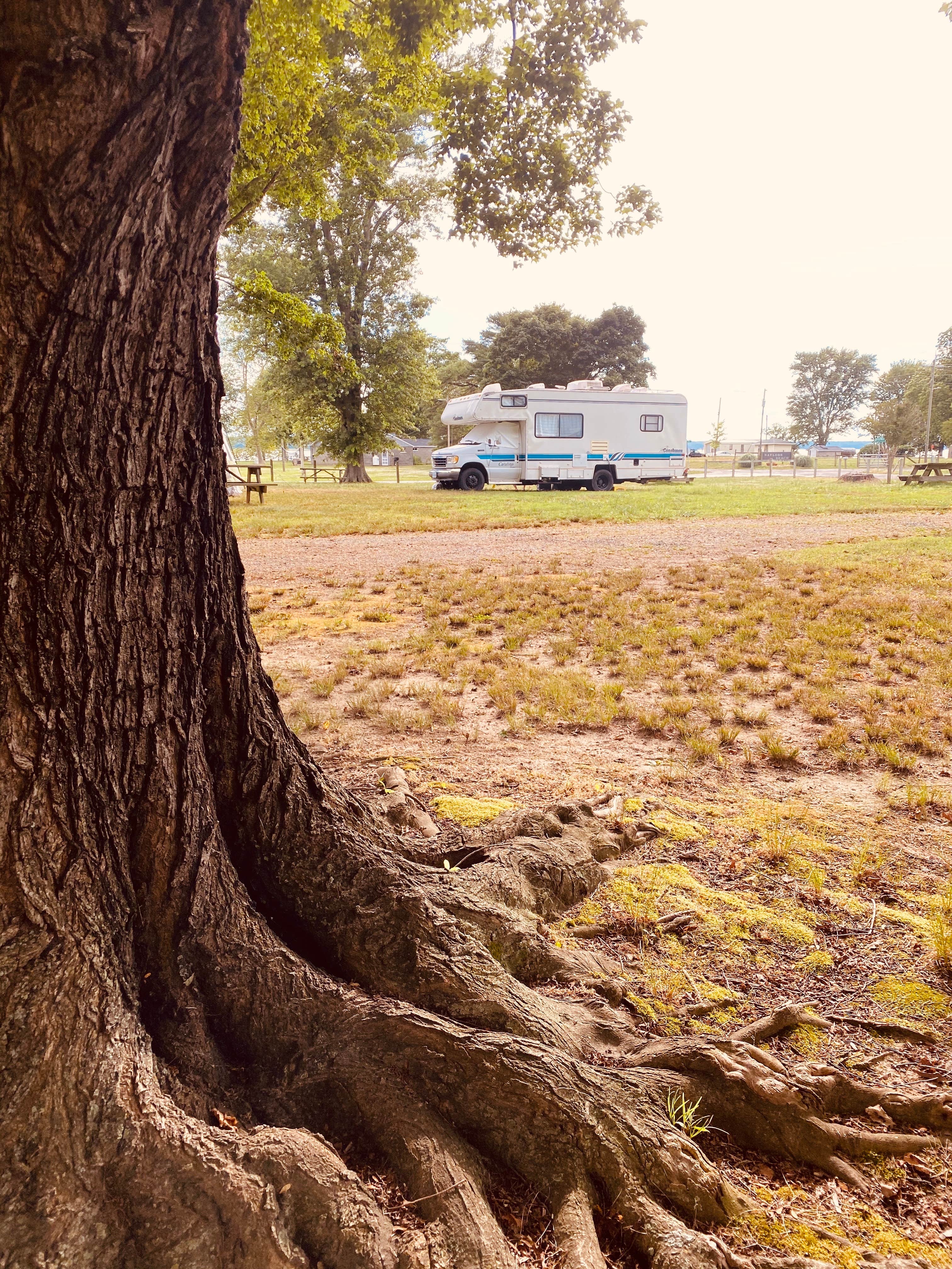 Camping near Thousand Trails Harbor View: Naylor's Beach Campground Inc, Tappahannock, Virginia