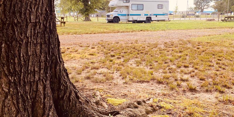 Camper submitted image from Naylor's Beach Campground Inc