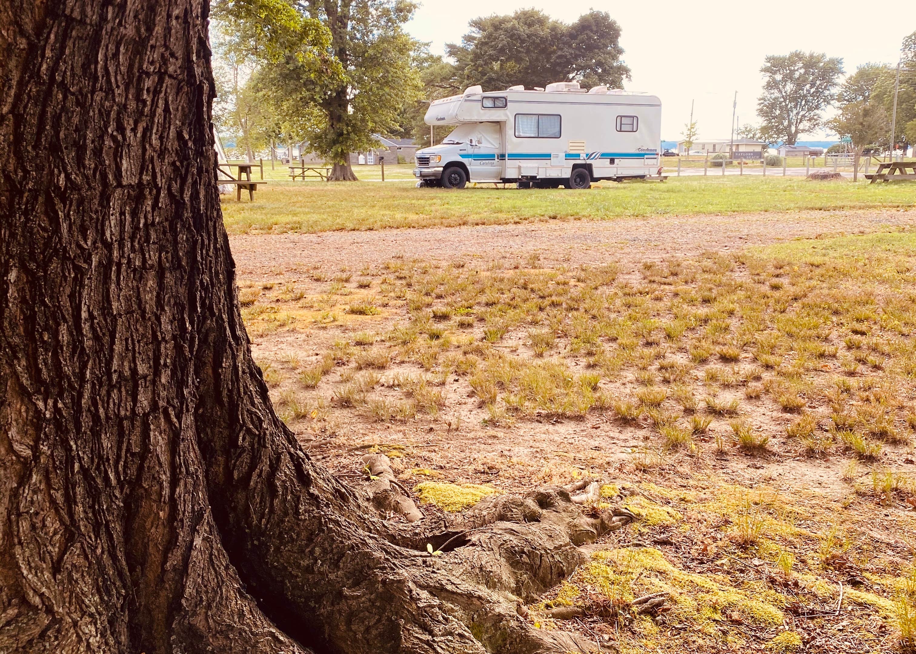 Naylor's Beach Campground Inc Camping The Dyrt