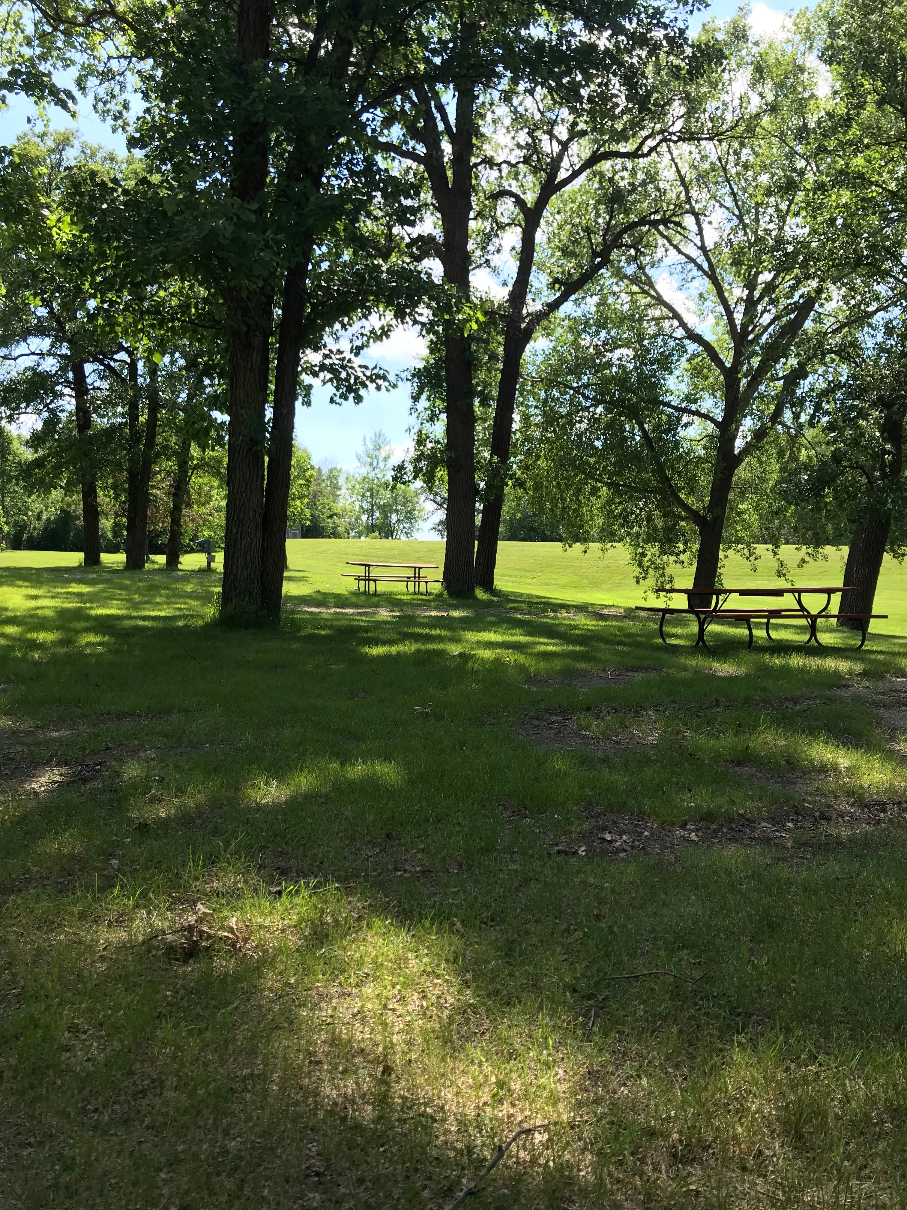 Camper submitted image from Alvarado City Park - 3