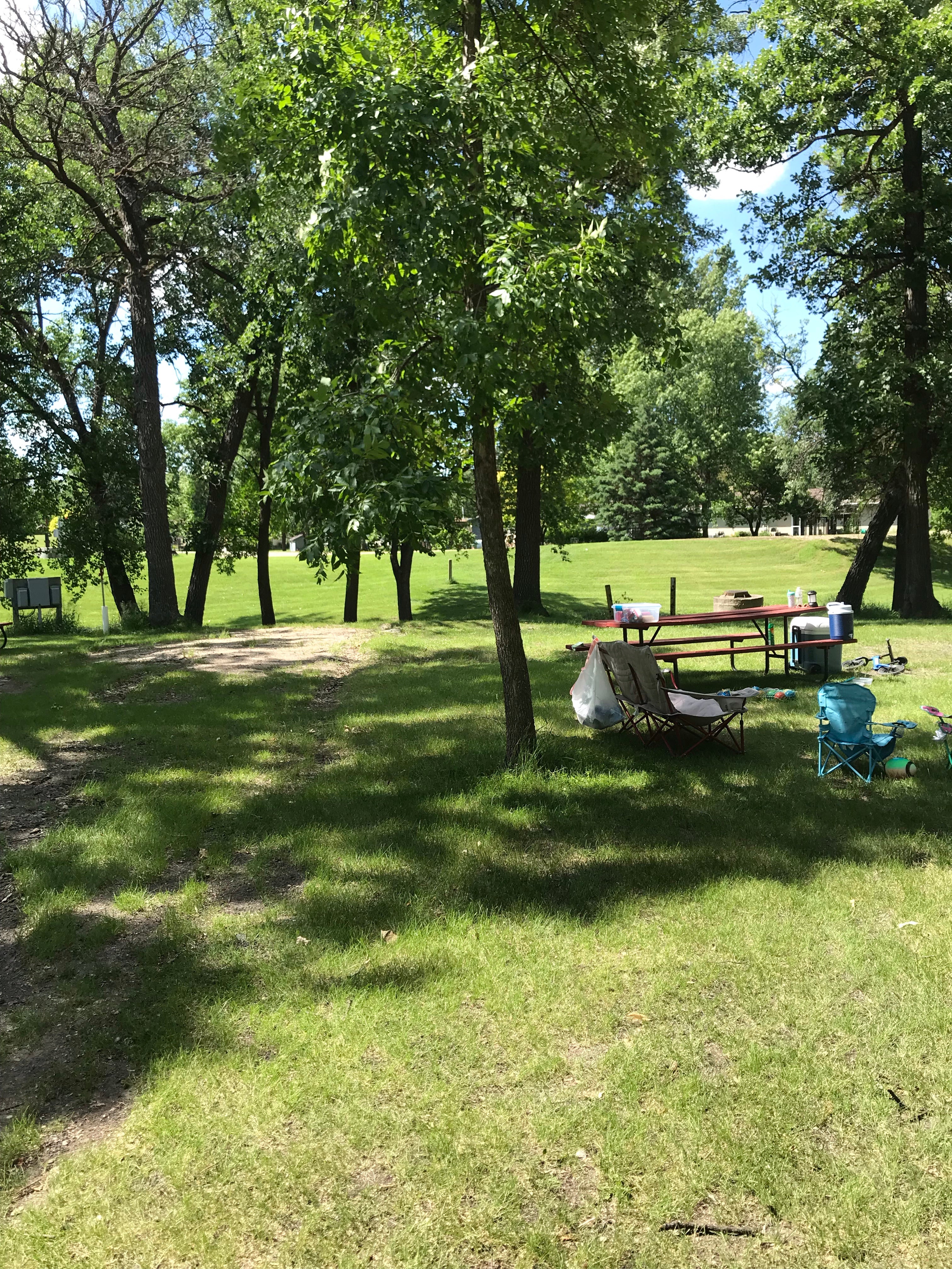 Camper submitted image from Alvarado City Park - 2