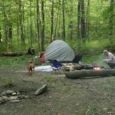 Review photo of Michaux State Forest by Tommy S., June 28, 2020