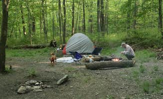 Tommy S.'s photo of camping with pets at North Michaux State Forest Campsites near Chambersburg, PA