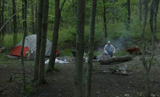 Tommy S.'s photo at North Michaux State Forest Campsites near Mont Alto, PA