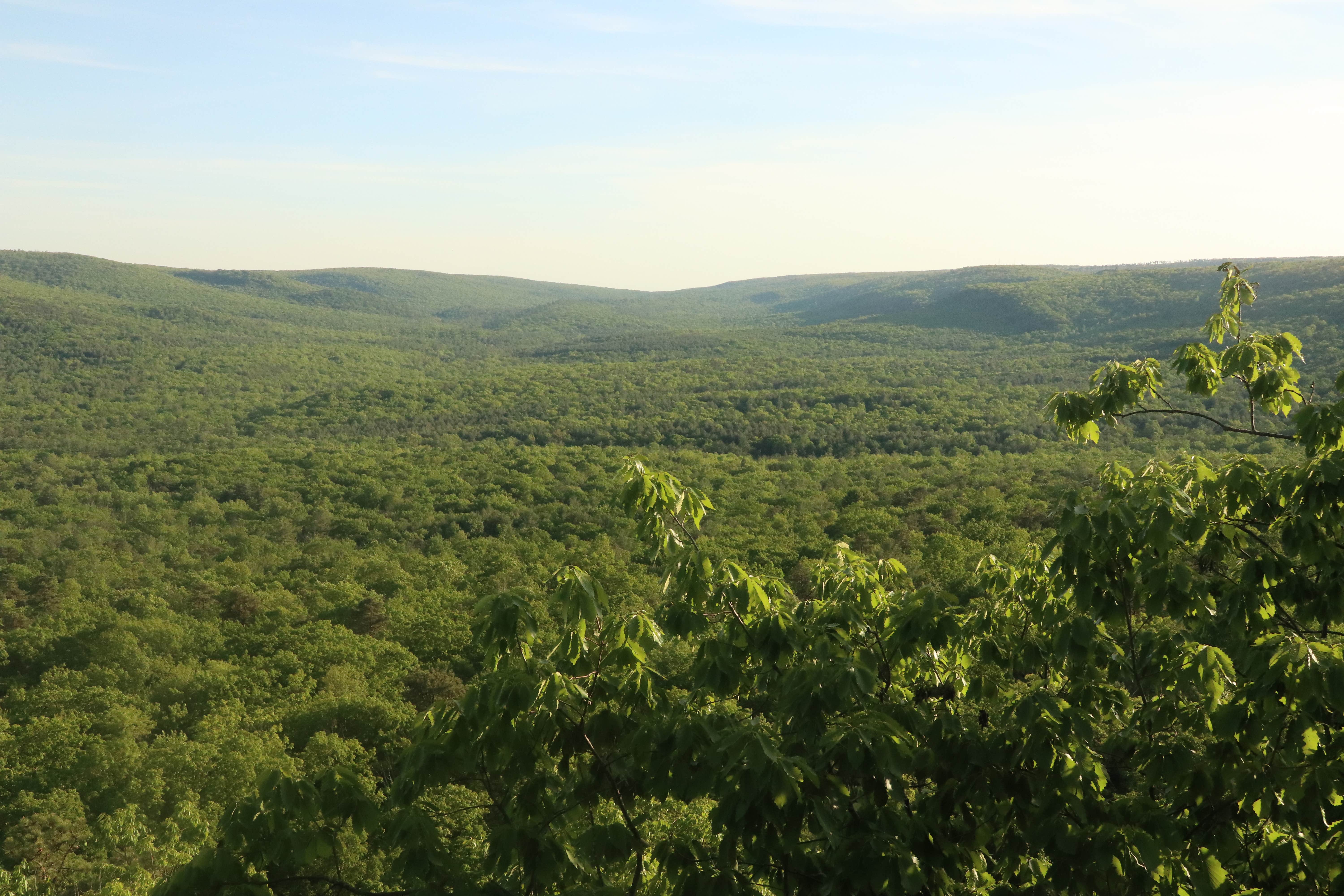Camper-submitted photo at North Michaux State Forest Campsites near Fayetteville, PA