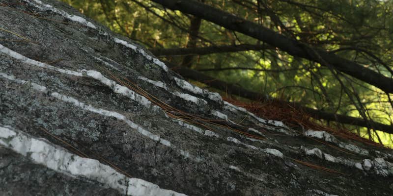 Camper submitted image from North Michaux State Forest Campsites