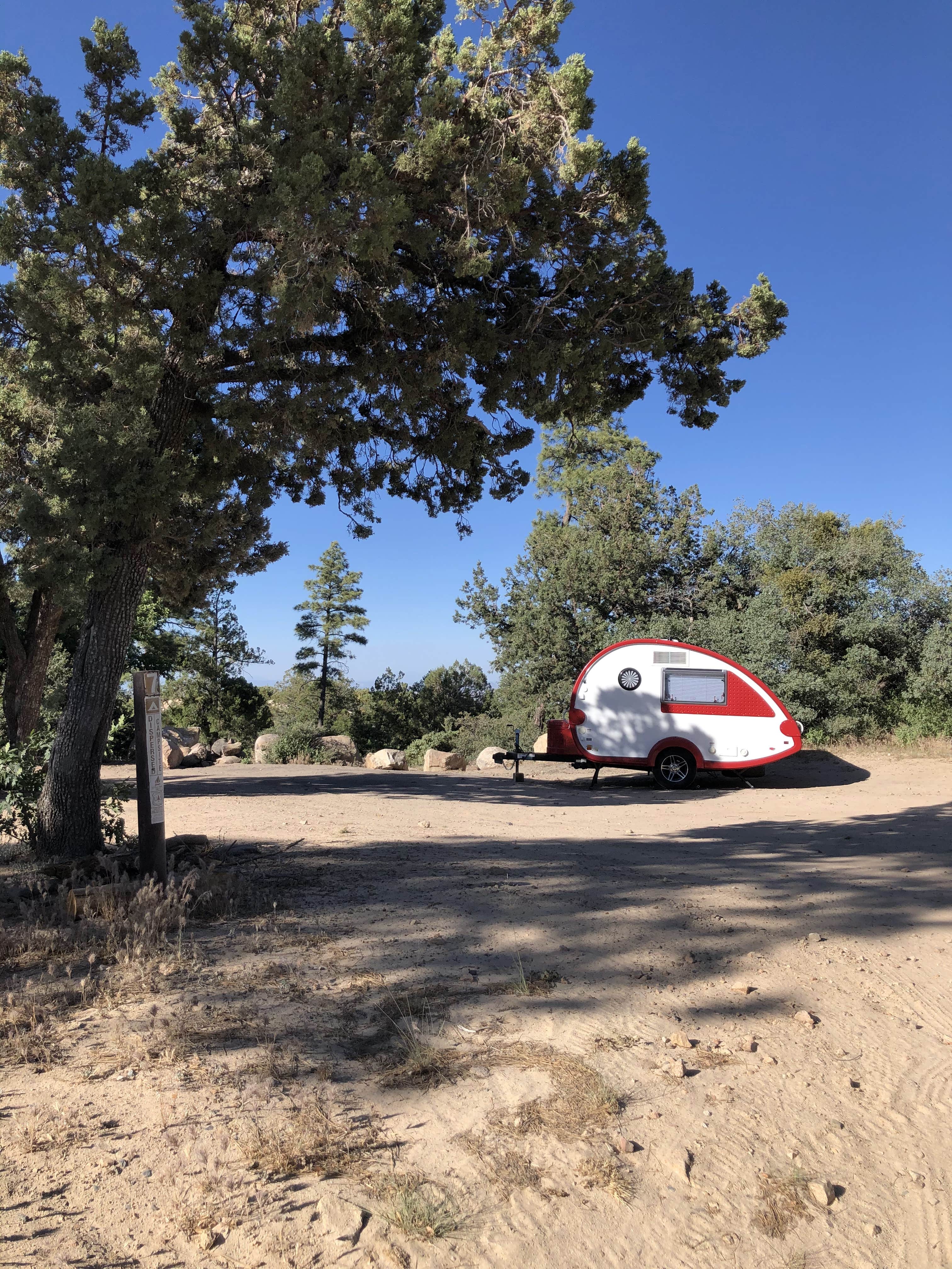 Camper submitted image from FDR 373 Thumb Butte Loop - 1